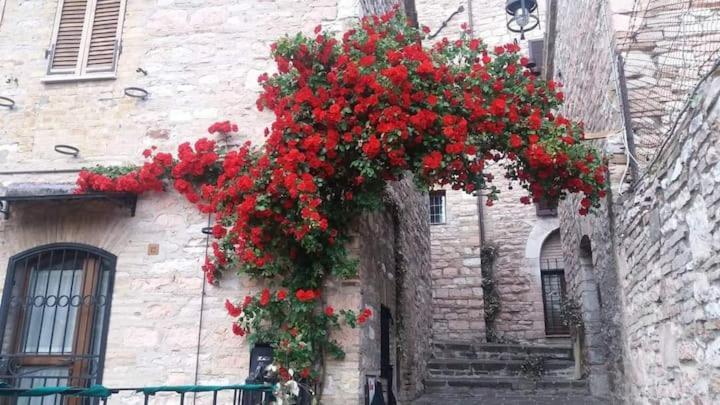 Casetta Delle Rose Асизи Екстериор снимка