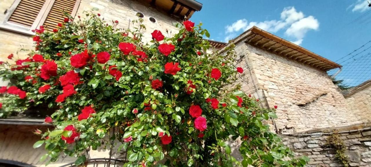 Casetta Delle Rose Асизи Екстериор снимка